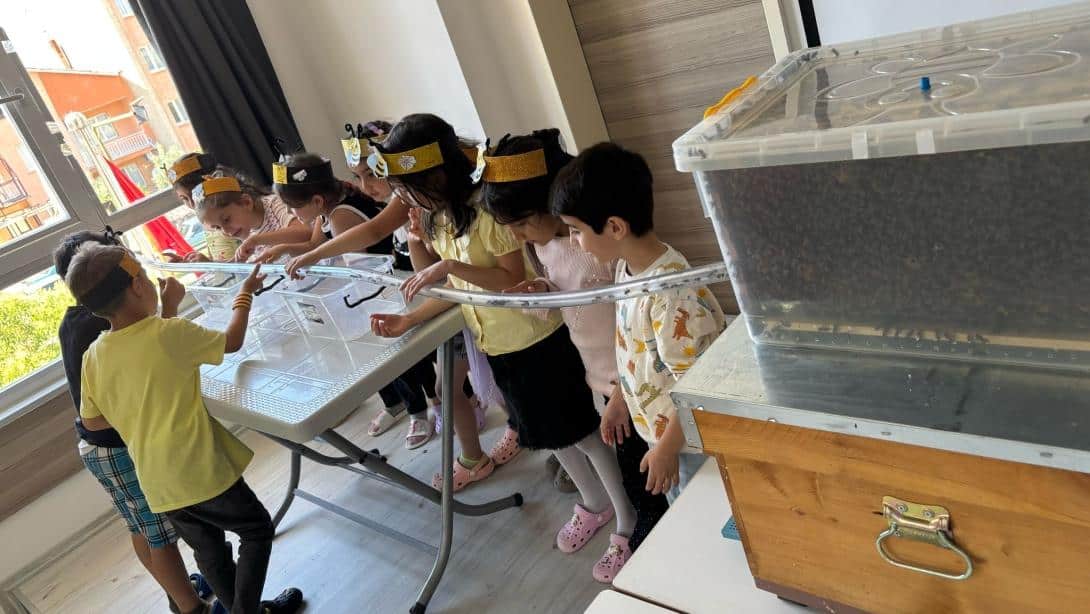  Alaşehir TOBB Anaokulu'nda Dünya Arı Günü Etkinliği Gerçekleştirildi